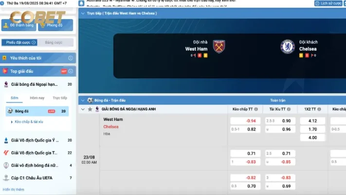Bí quyết đặt cược hiệu quả dựa trên thống kê